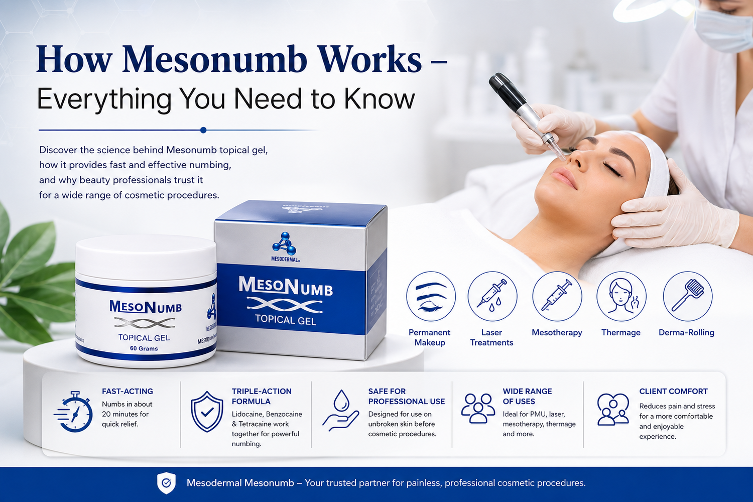 How Mesonumb Works - Everything You Need to Know
